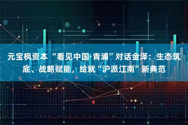 元宝枫资本 “看见中国·青浦”对话金泽：生态筑底、战略赋能，绘就“沪派江南”新典范