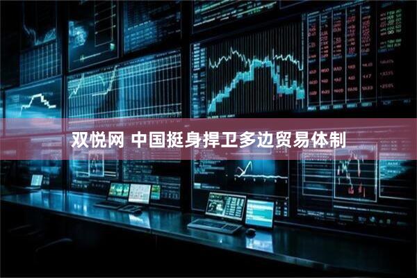 双悦网 中国挺身捍卫多边贸易体制